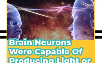 Scientists Discover Brain Neurons Were Capable Of Producing Light or Biophotons